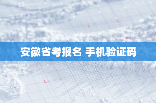 安徽省考报名 手机验证码