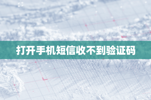 打开手机短信收不到验证码