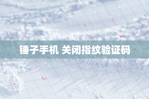 锤子手机 关闭指纹验证码