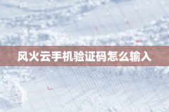风火云手机验证码怎么输入