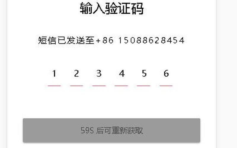 电脑注册网站手机输验证码