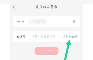 短信接码带来的福利悄悄地分享一下