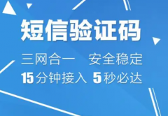 短信平台验证码平台还会一直发光发热