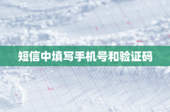 短信中填写手机号和验证码