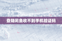 登陆闲鱼收不到手机验证码