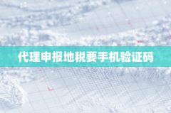 代理申报地税要手机验证码