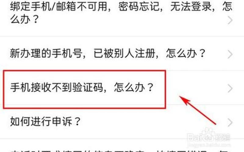 短信收到验证码手机不显示