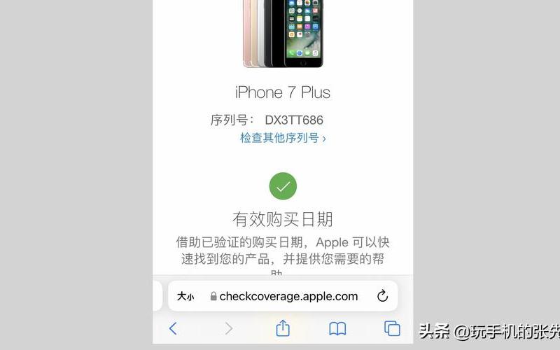 打开手机怎么查真伪验证码